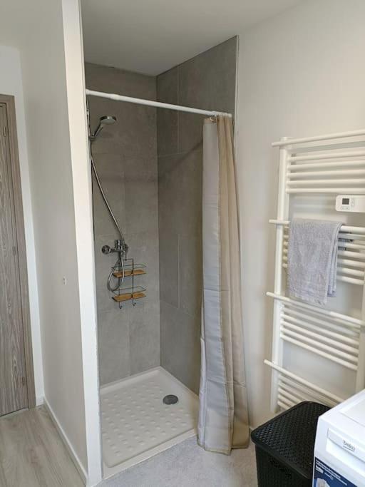 Appartement Entier F3 Renove - Petite Pause A 塞莱斯塔 外观 照片