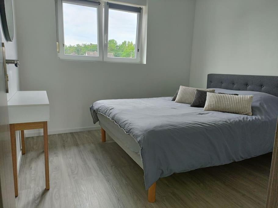 Appartement Entier F3 Renove - Petite Pause A 塞莱斯塔 外观 照片