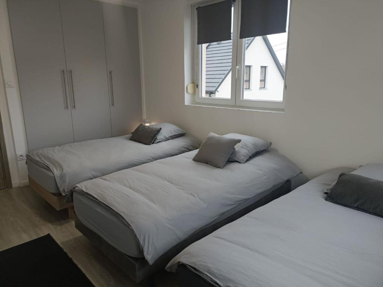 Appartement Entier F3 Renove - Petite Pause A 塞莱斯塔 外观 照片